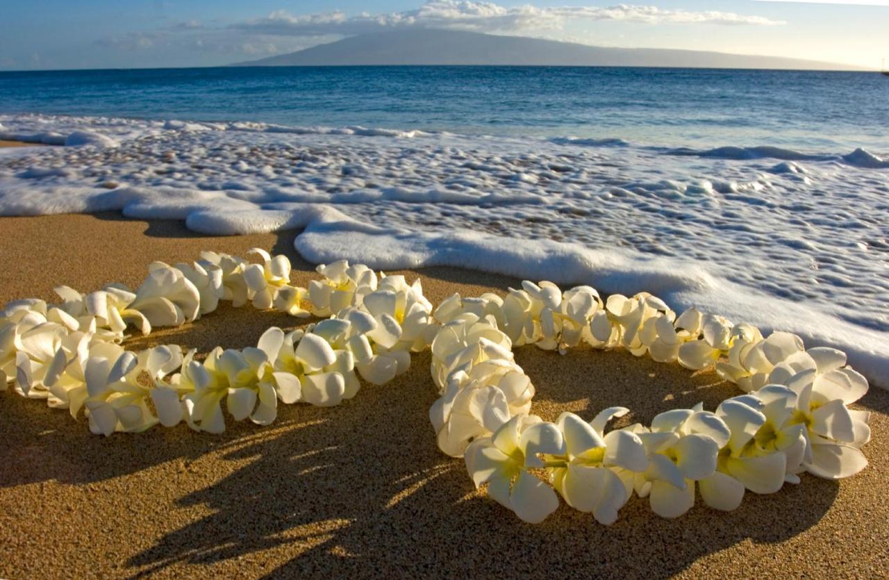 Diamond Head Views Retreat With Free Parking & Near Waikiki Beach! Хонолулу Екстериор снимка